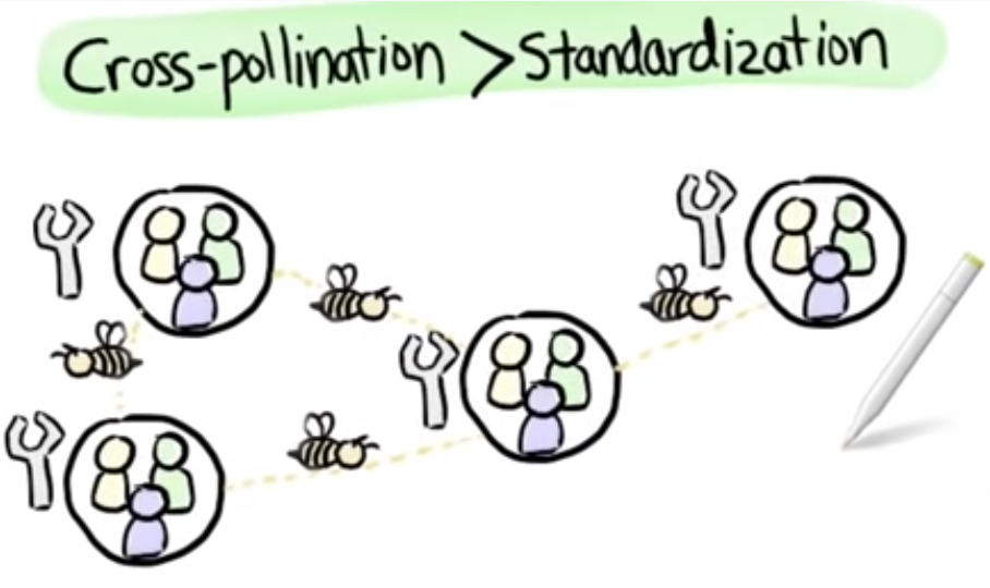 Agile - Pollination rather than standardisation